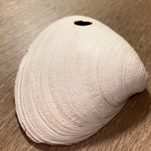 Handmade Shell Jewelry Holder - Picture 3 of 4